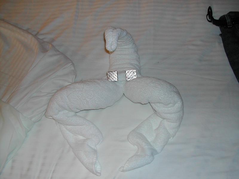 DSCN5092.JPG - Lobster towel