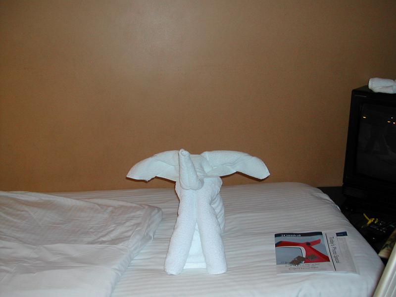 DSCN5135.JPG - Elephant towel