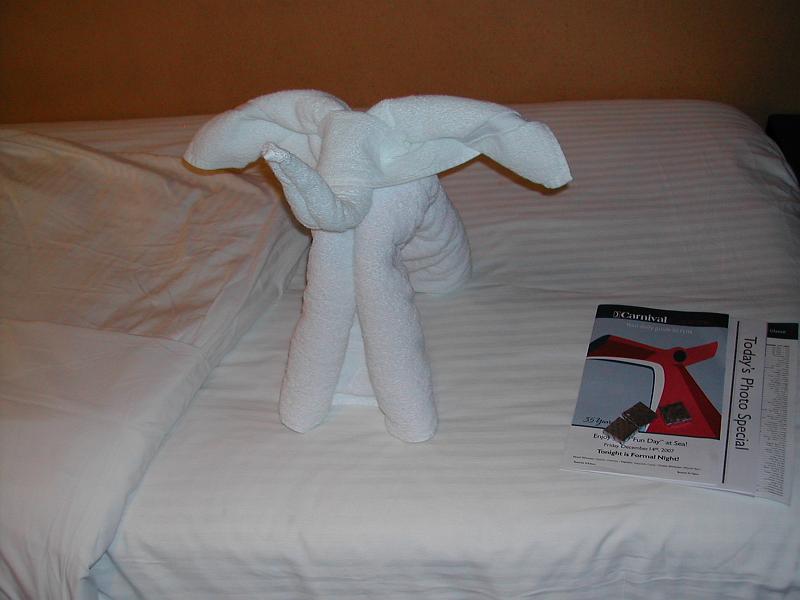DSCN5136.JPG - Elephant towel again