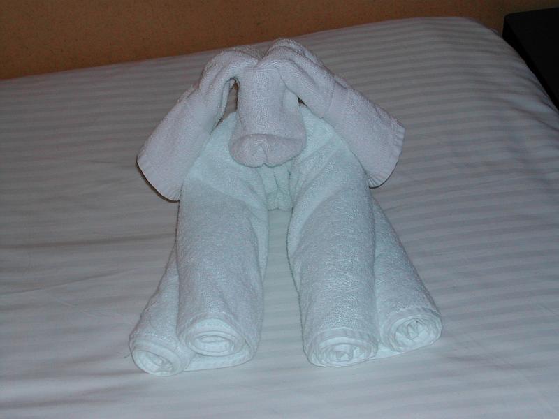 DSCN5155.JPG - Bunny towel