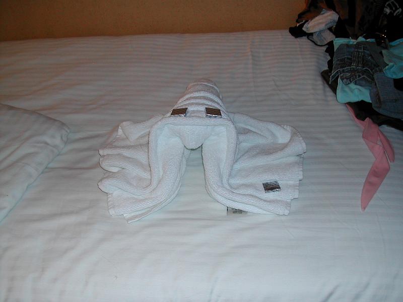 DSCN5194.JPG - Octopus towel